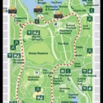Central Park VIP Tour  (65 min )