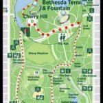 Central Park Proposal Surprise Tour