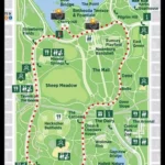 Central Park Standart Tour