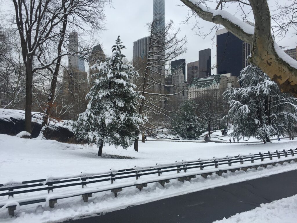 central park winter (Copy)