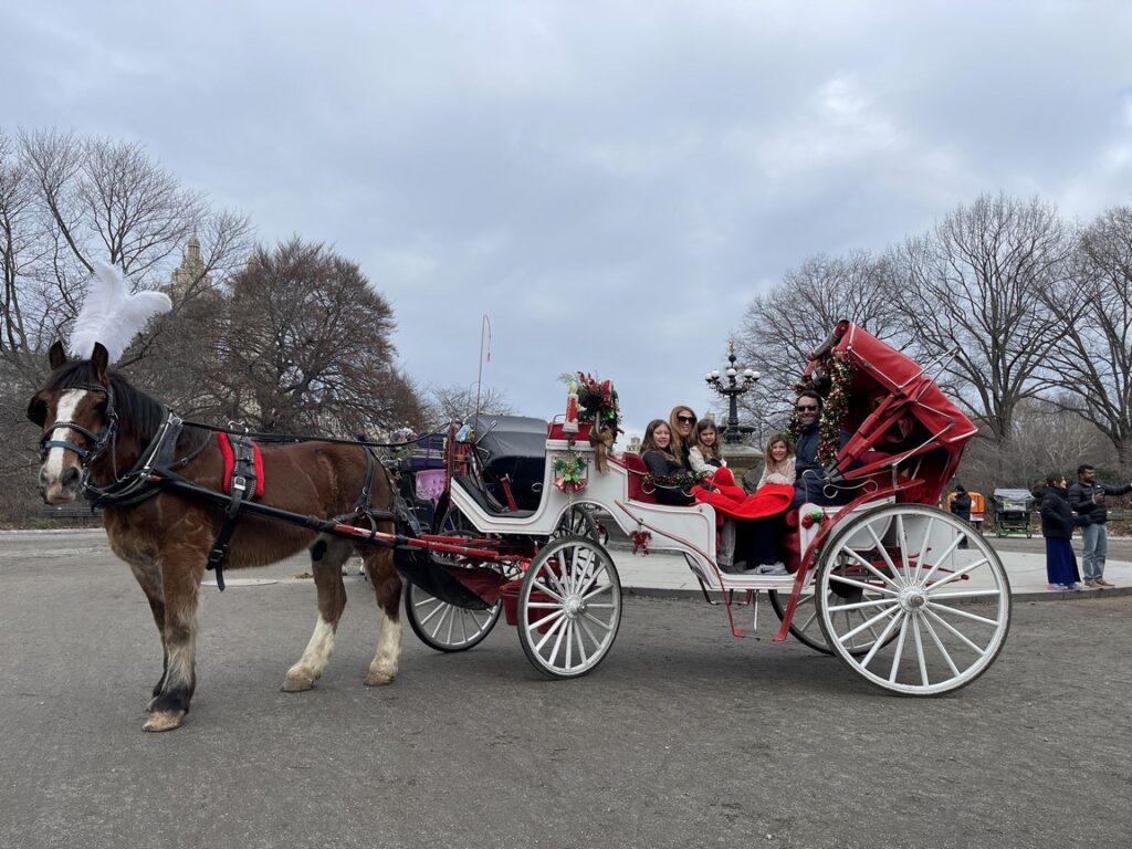 holiday at the park (2) (Copy)