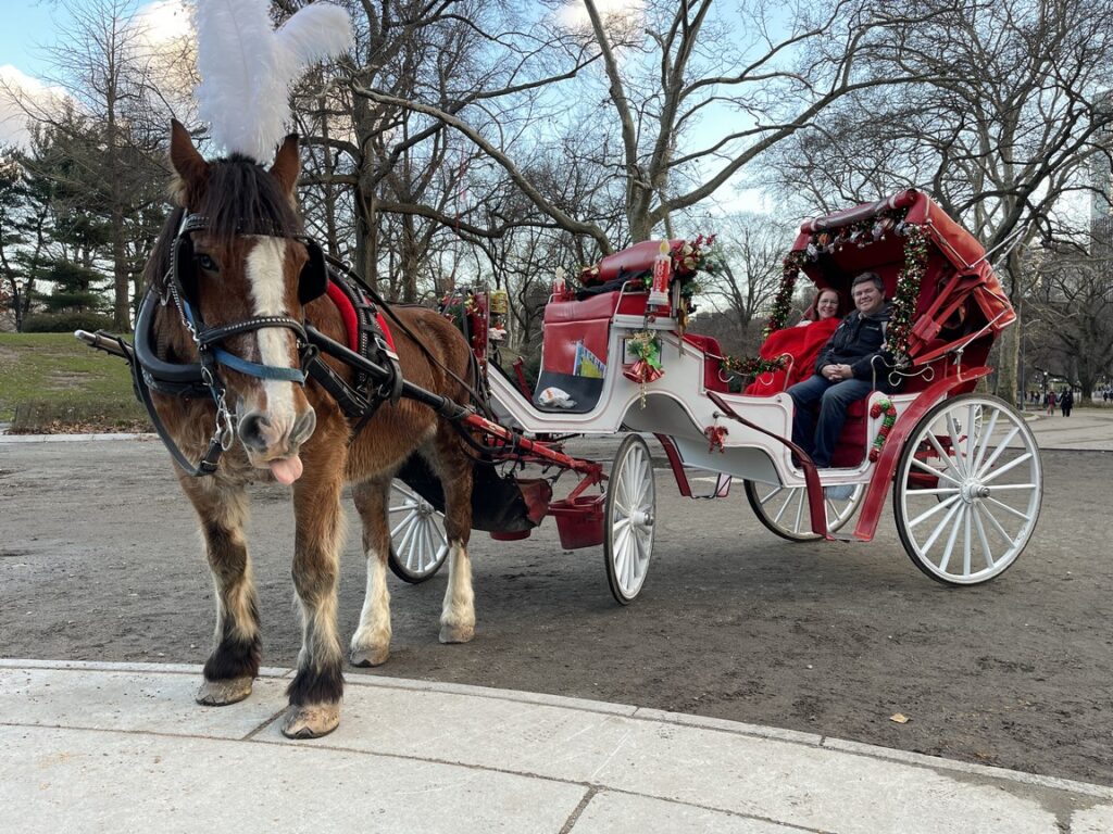 holiday at the park (Copy)