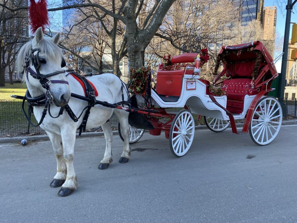 holiday white (Copy)