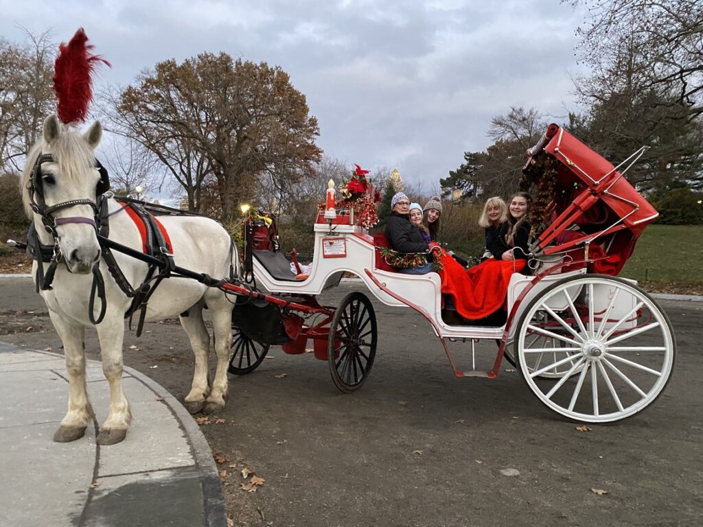 holiday white horse (Copy)